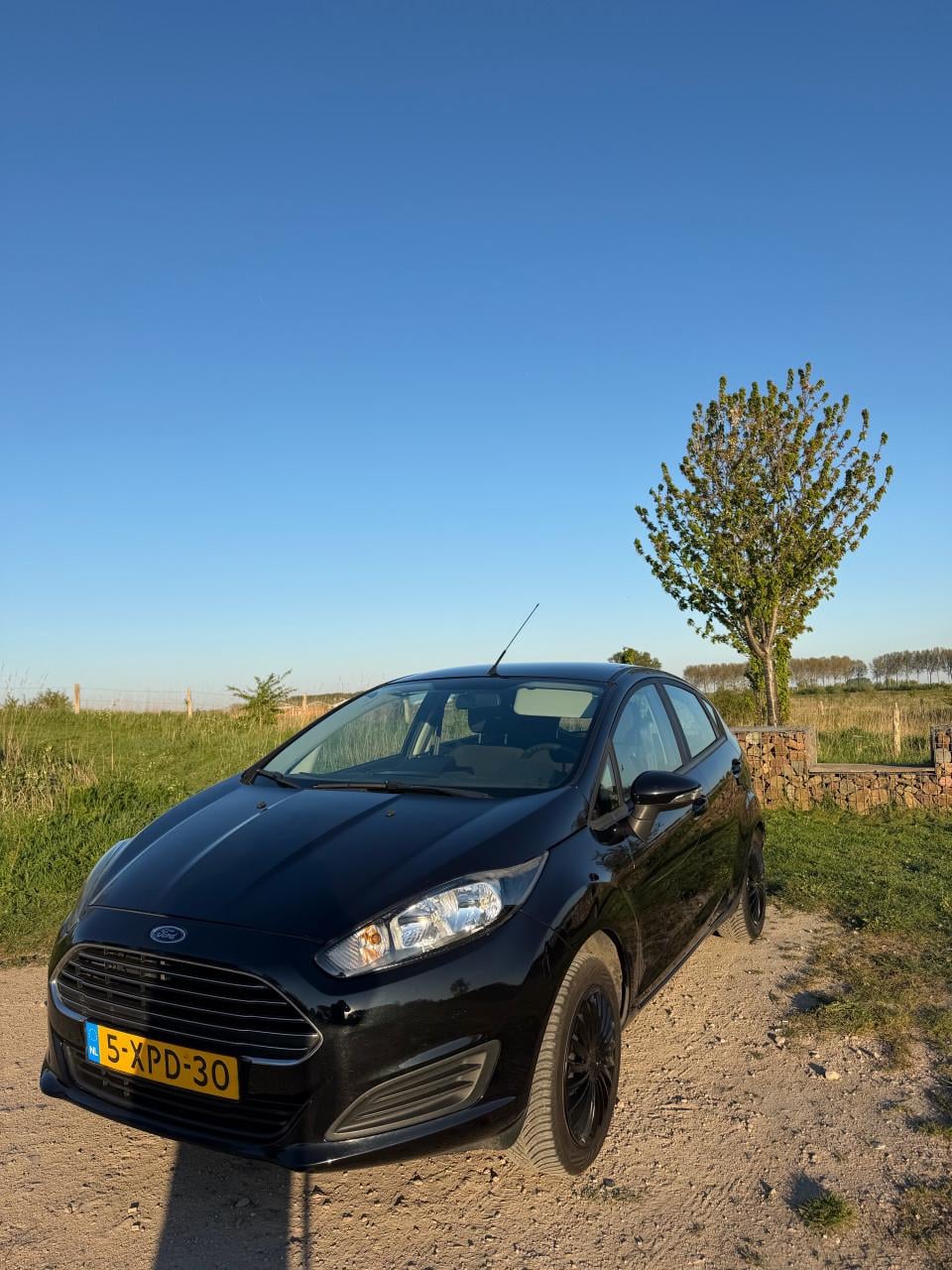 Ford Fiësta 1.0 59KW/80PK 5D 2014 Zwart