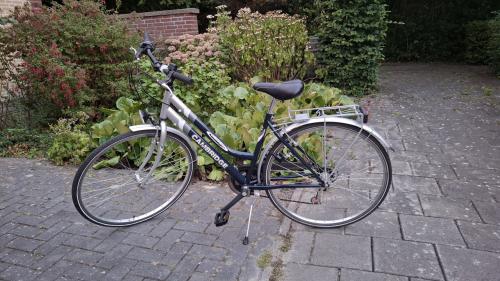 Sportieve dames fiets