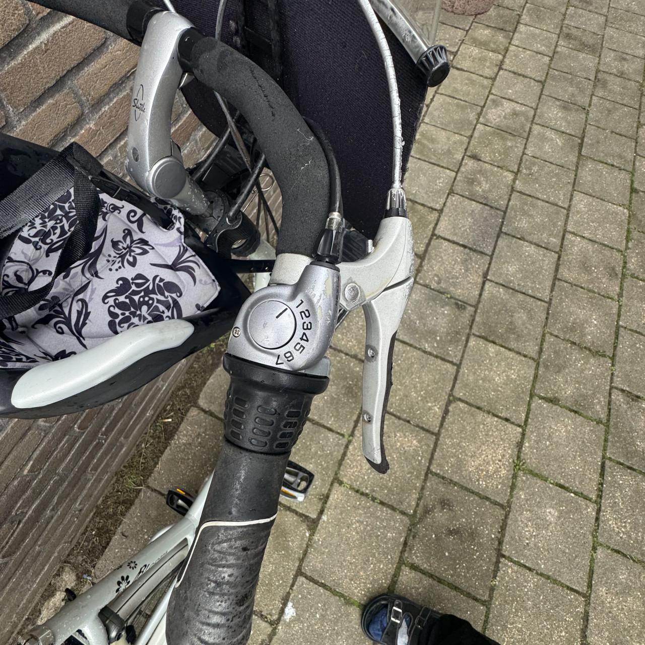 Gazelle moederfiets