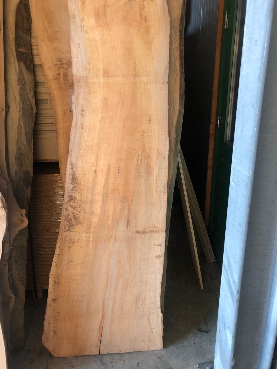 Zeeuws iepen boomstamblad 230 x 40 x 5, 40 euro bij hhzb