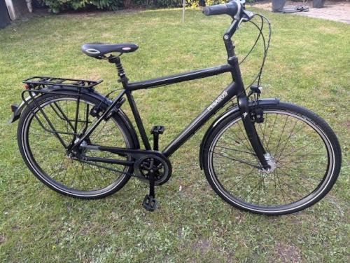 Pegasus Urbano Herenfiets (Beltdrive!)