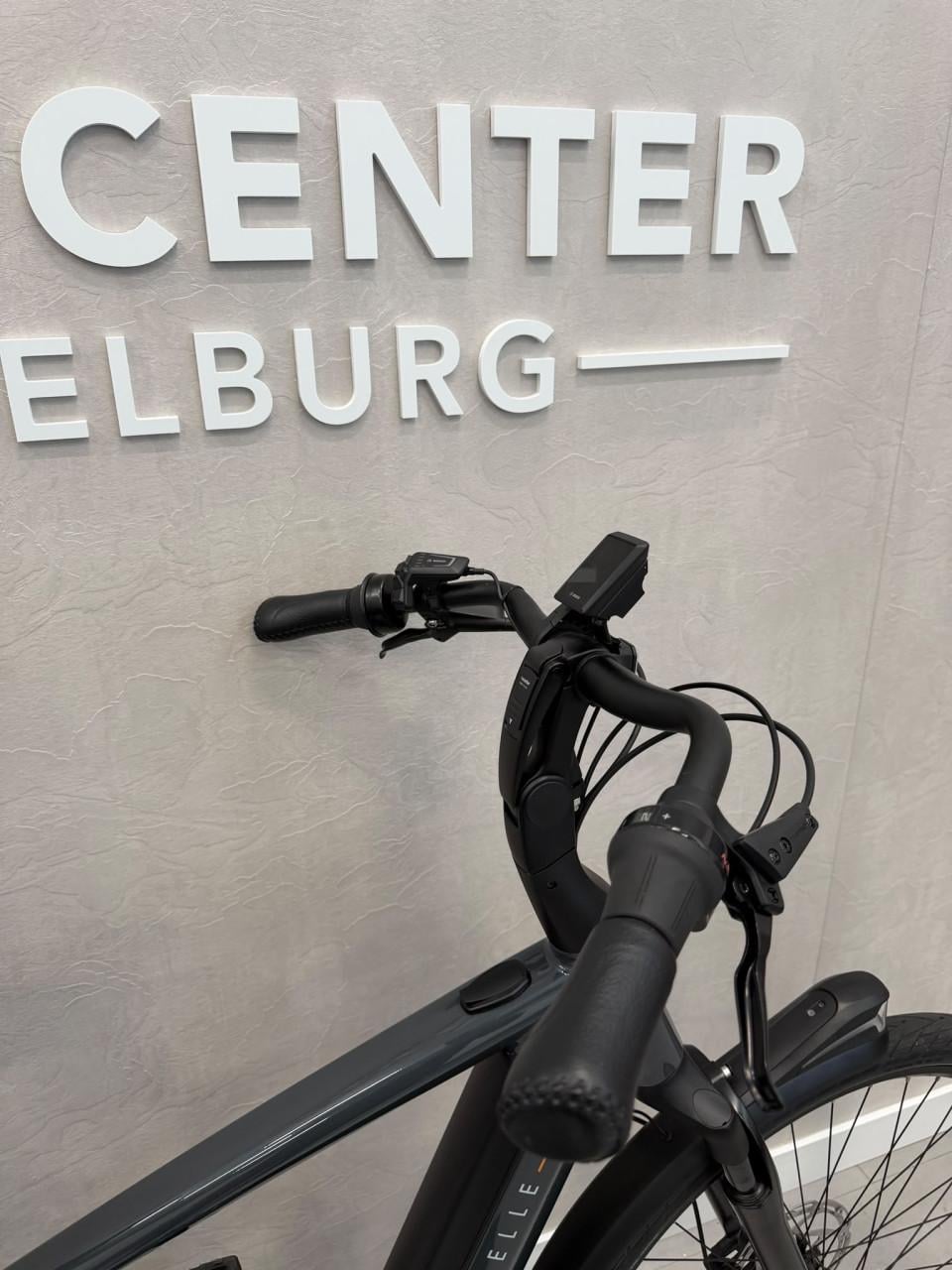 Gazelle Grenoble C5 Bosch Performance Line 53CM 600Wh 421KM
