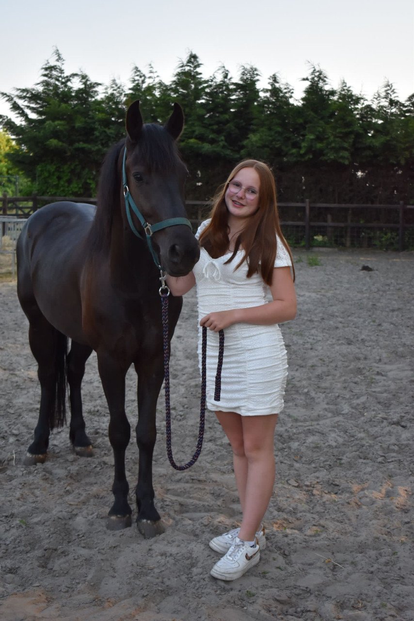 Mooie d pony te koop