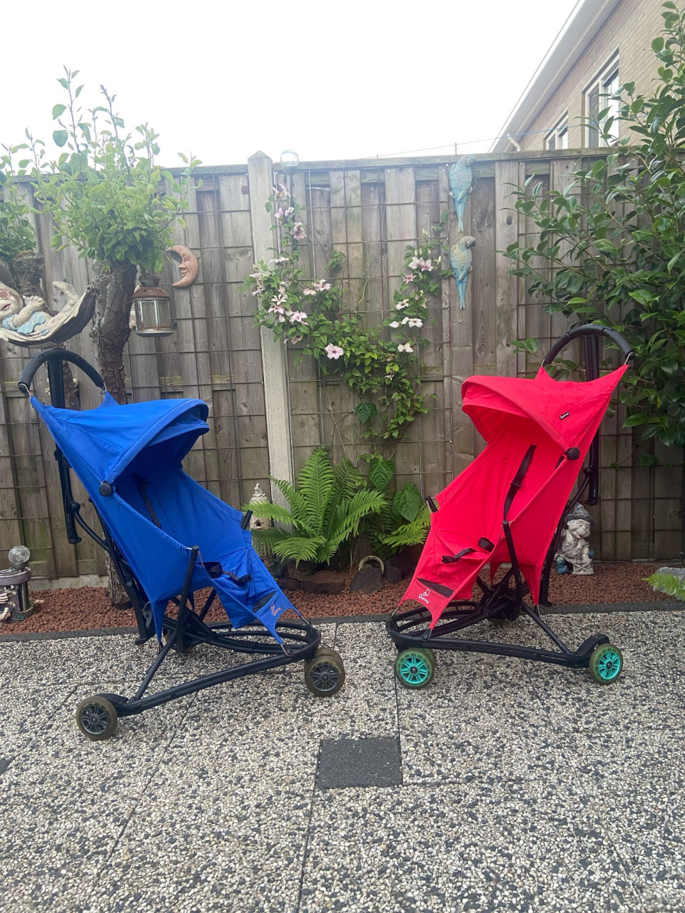 Te koop buggy