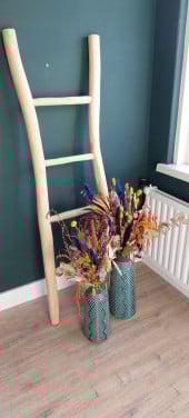 2 vazen met droogbloemen