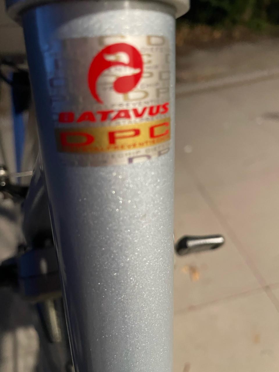Elektrische damesfiets.