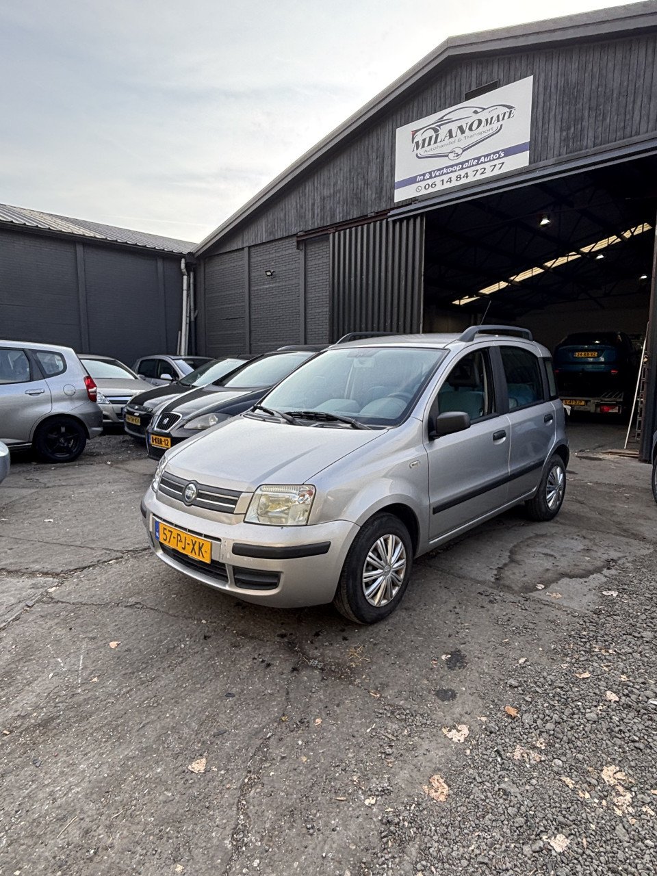 Fiat panda
