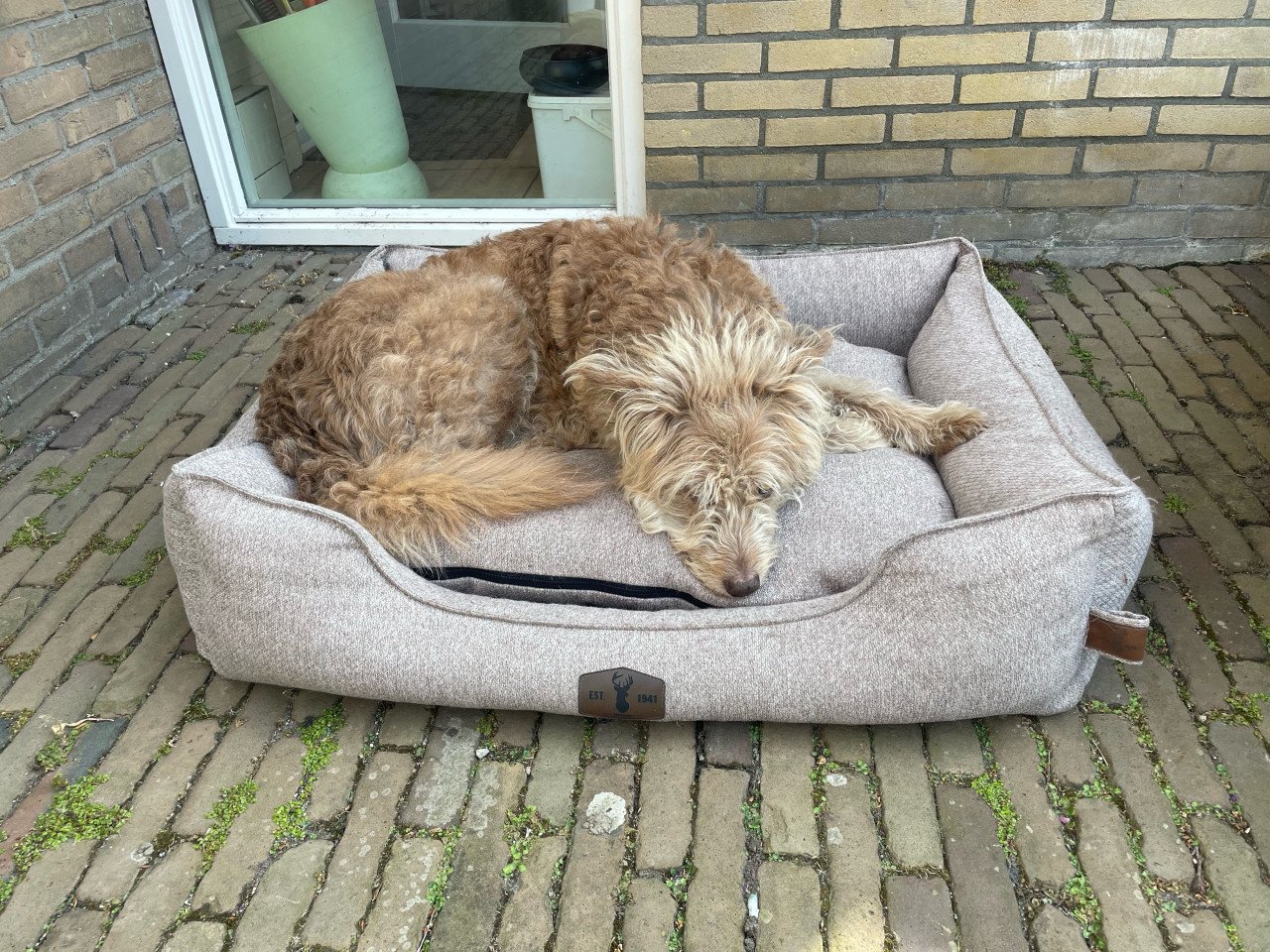 Hondenmand Boony goed merk 100 x 80 cm