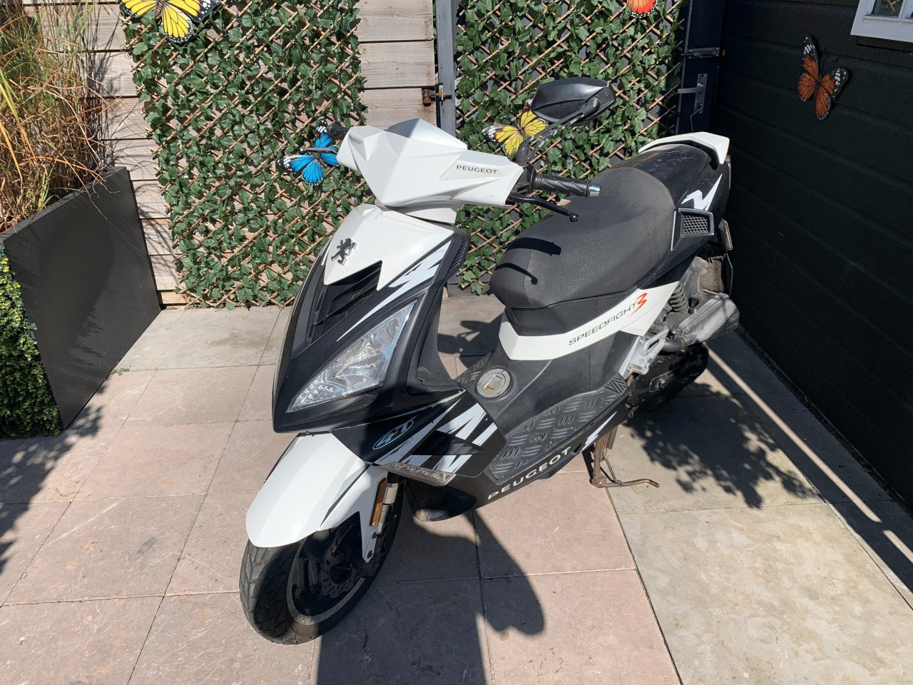 Peugeot Speedfight 3 4takt
