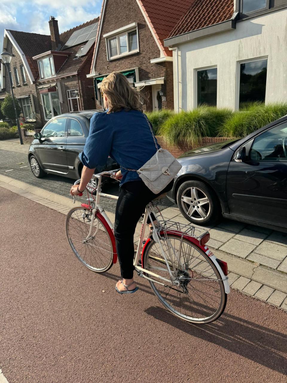 Batavus - Wayler