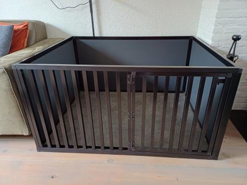 Prachtige kamerkennel / puppyren aangeboden.