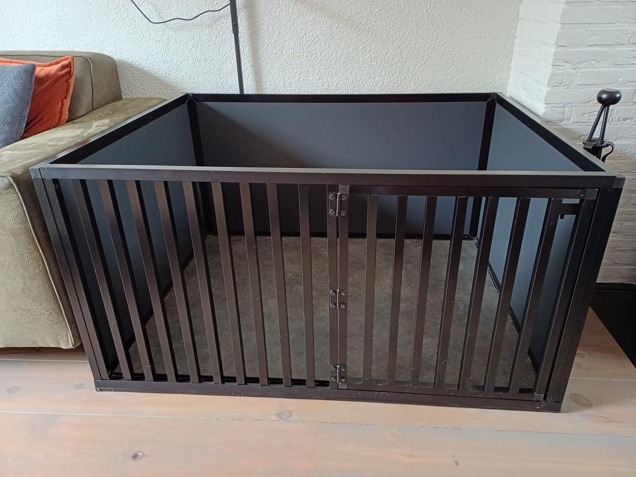 Prachtige kamerkennel / puppyren aangeboden.