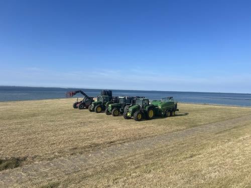 Te koop gevraagd, gras op stam en tarwe stro.