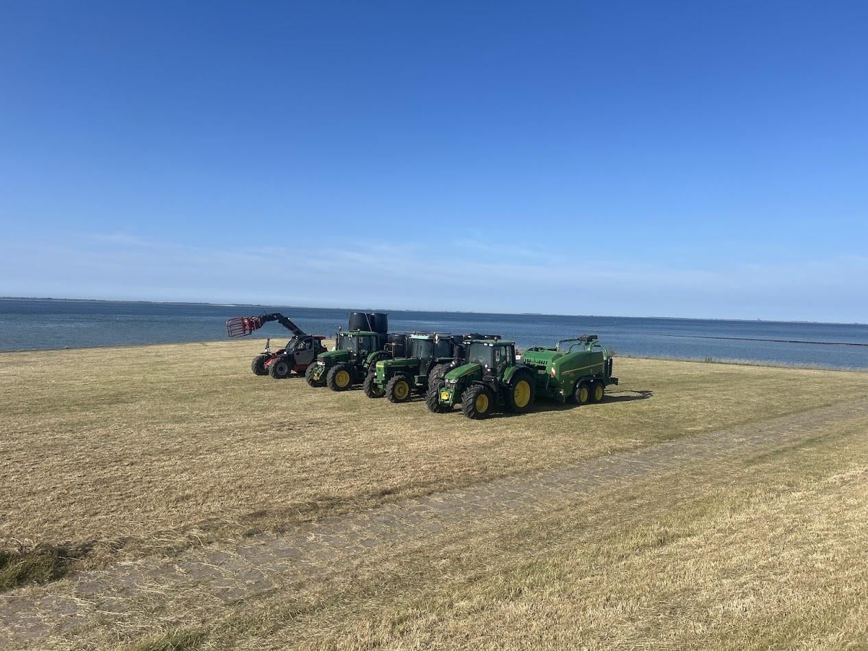 Te koop gevraagd, gras op stam en tarwe stro.