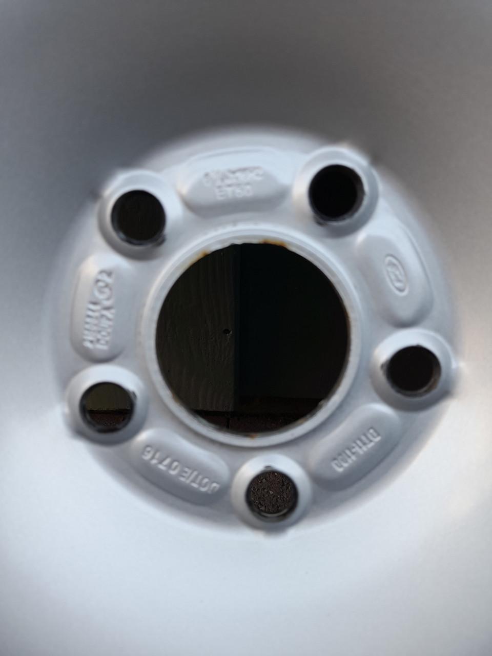 Winterbanden vredestein