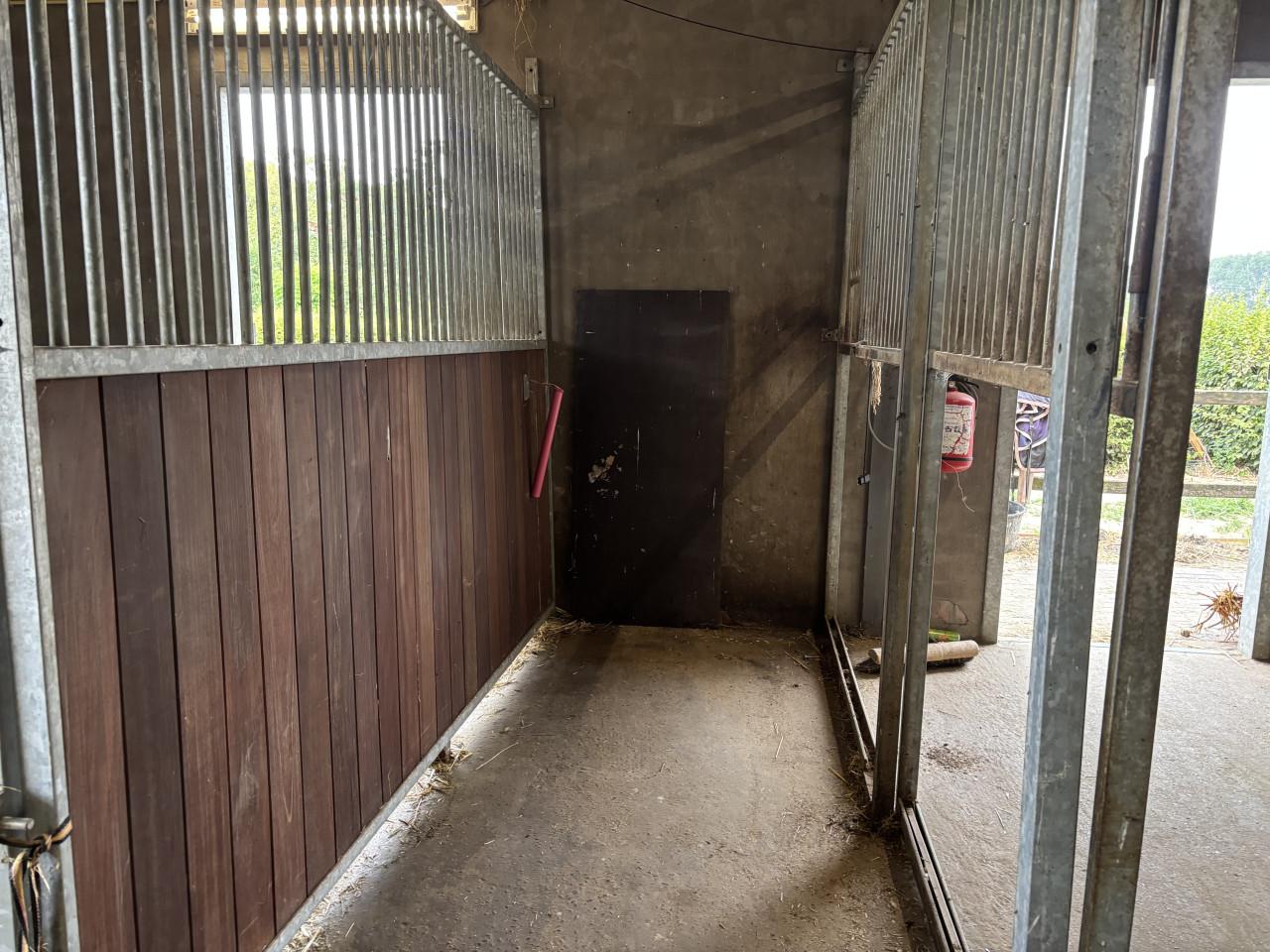 Nette paardenboxen