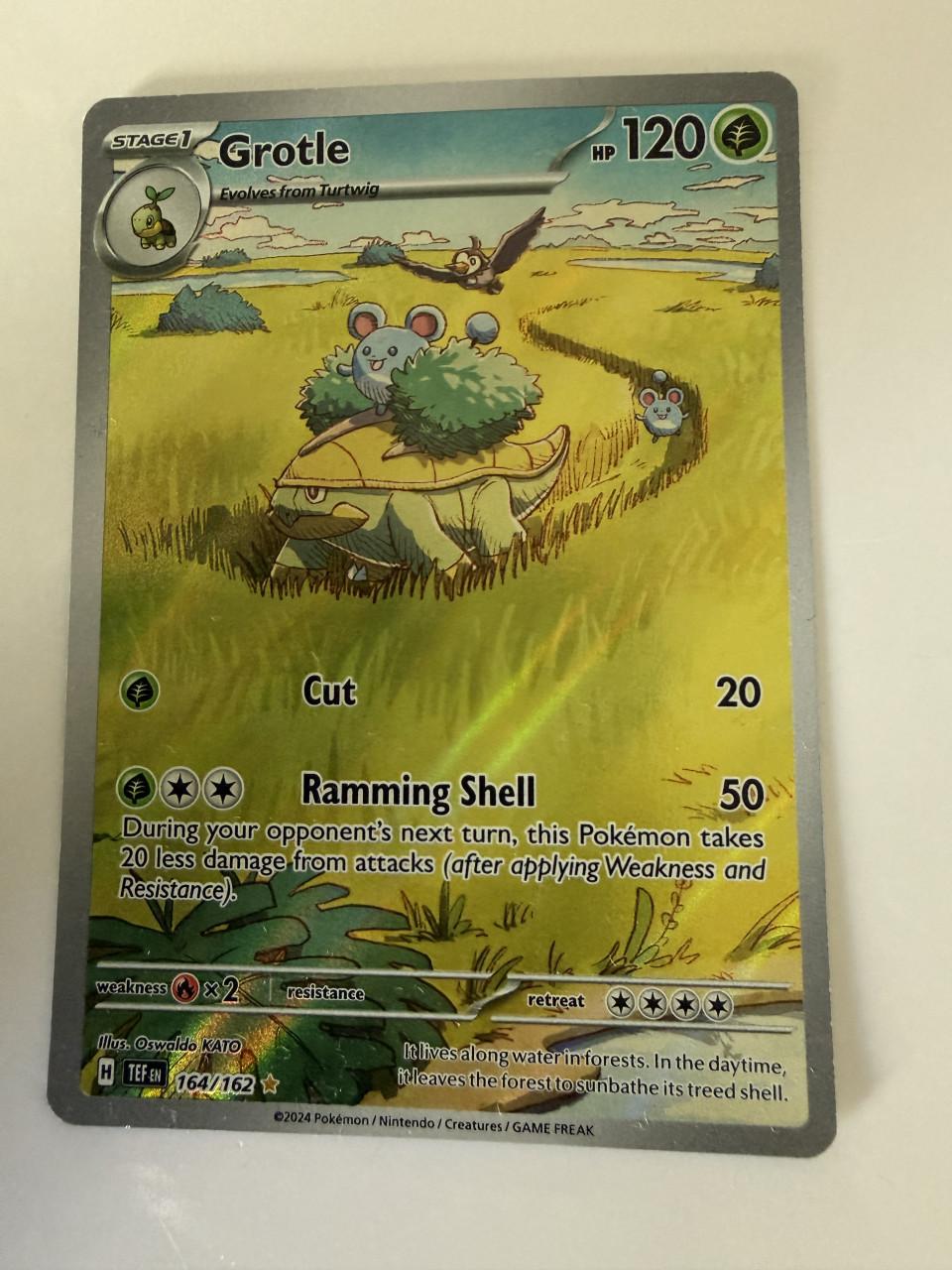 🔥 POKÉMON KAARTEN – BIEDEN MAAR! Op NR