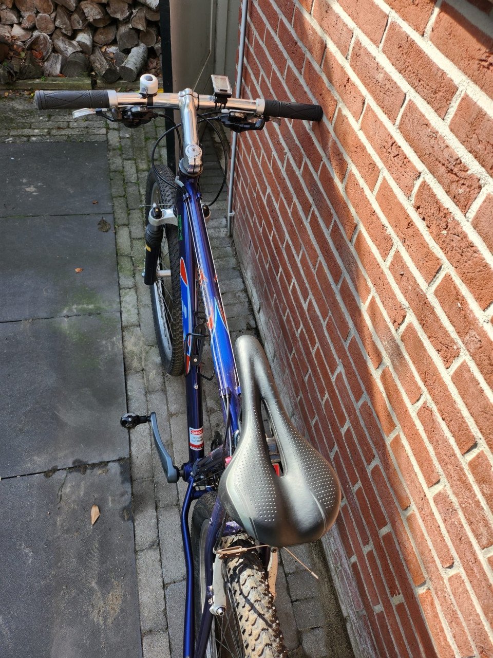 Mountainbike B1