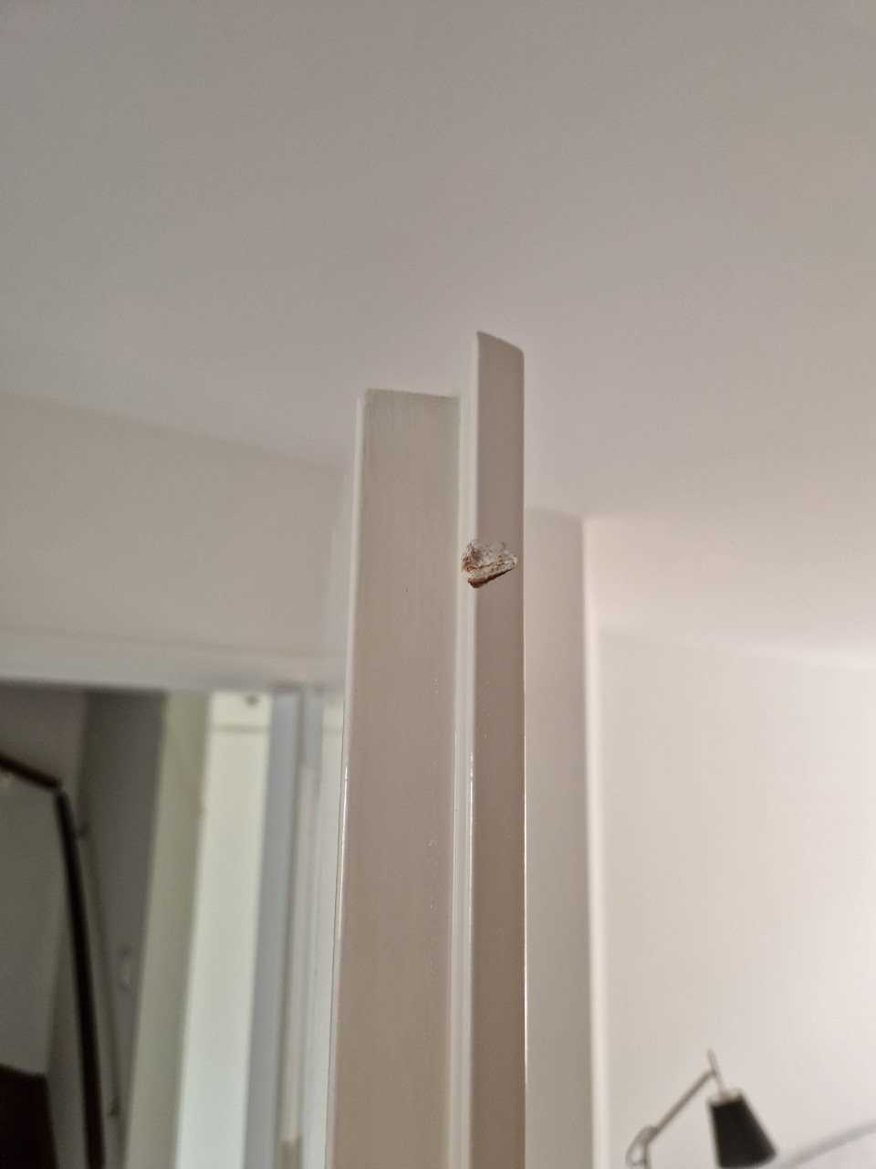 Opdekdeuren met (mat-) glas