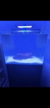 Zeeaquarium