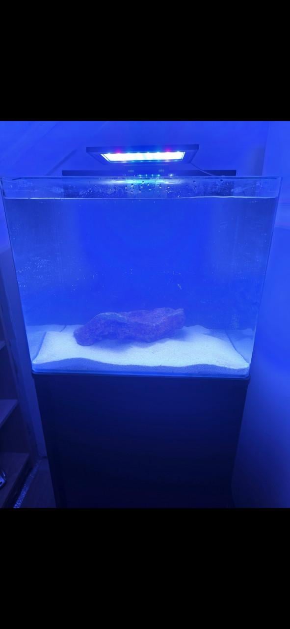 Zeeaquarium