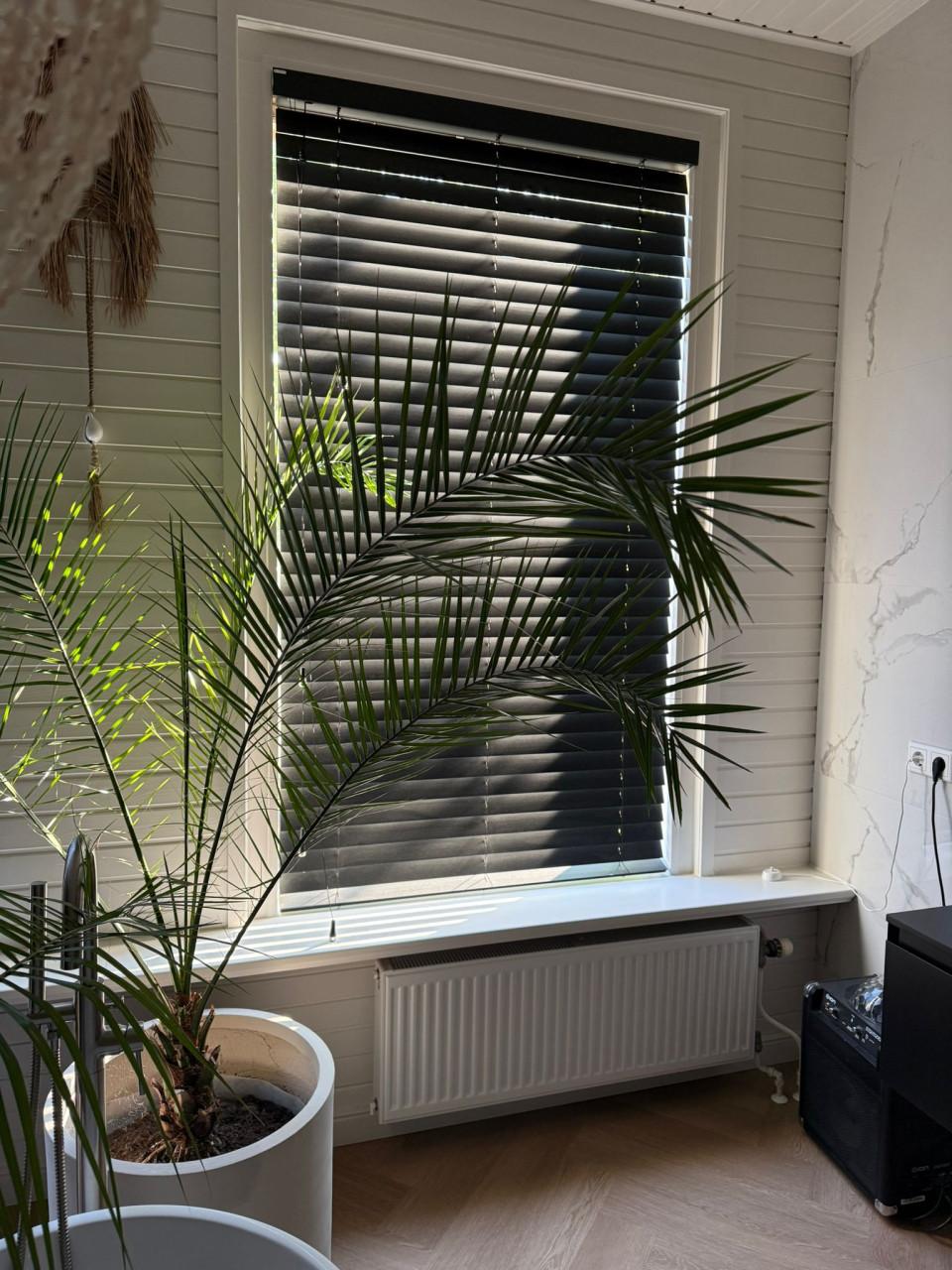 Jaloezieën zwart (x5)