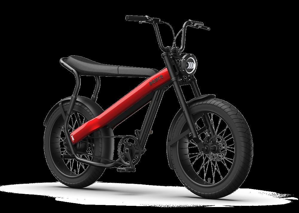 BREKR F250 stoere E-BIKE