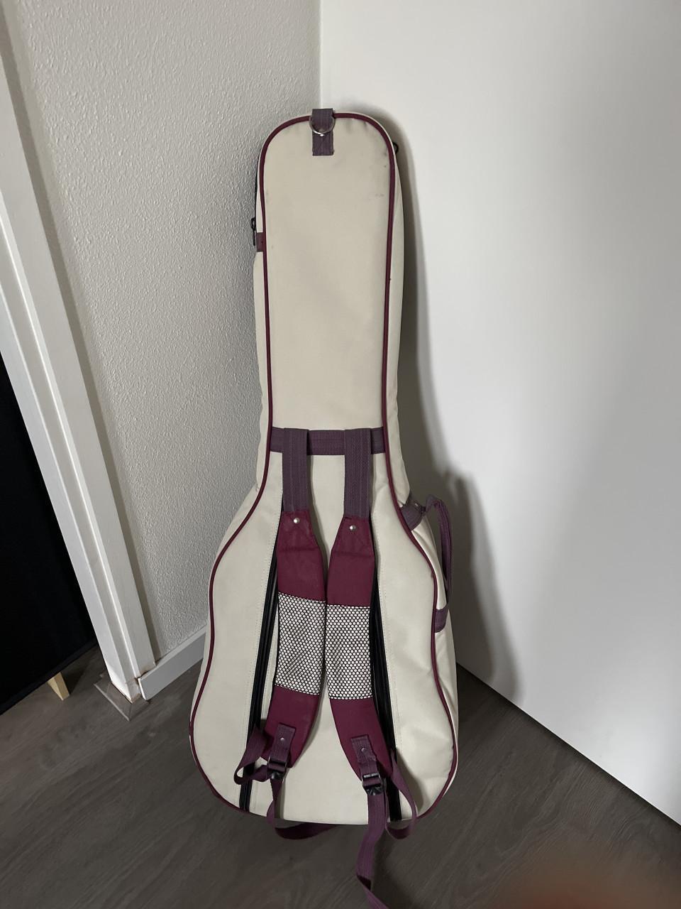 Beschermhoes akoestische gitaar