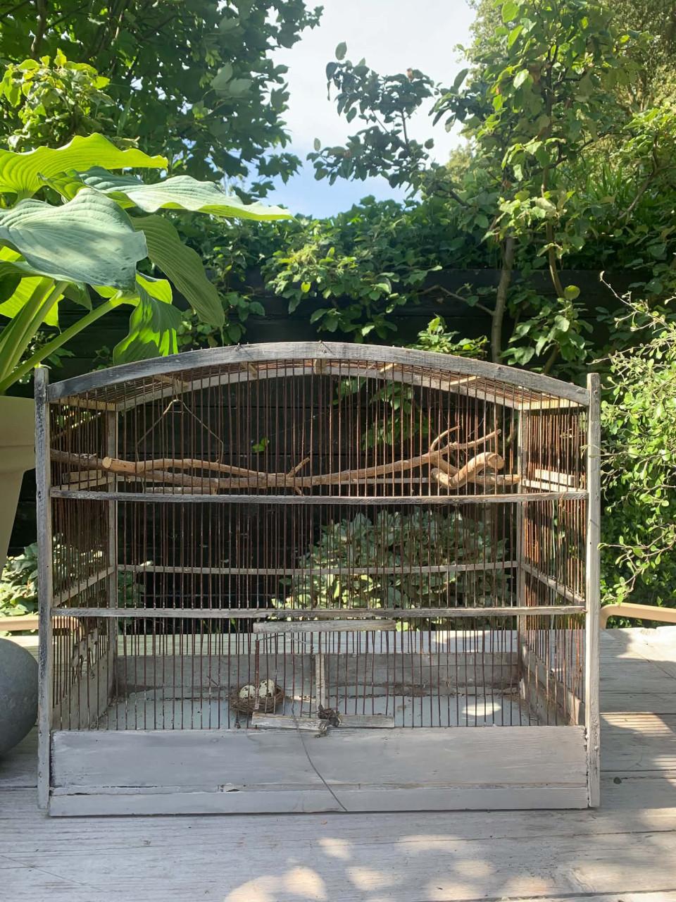 Vogelkooi