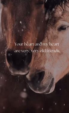 #Equi Pride# gedrag, grondwerk, rijden, Naturel Horsemanship, etc.