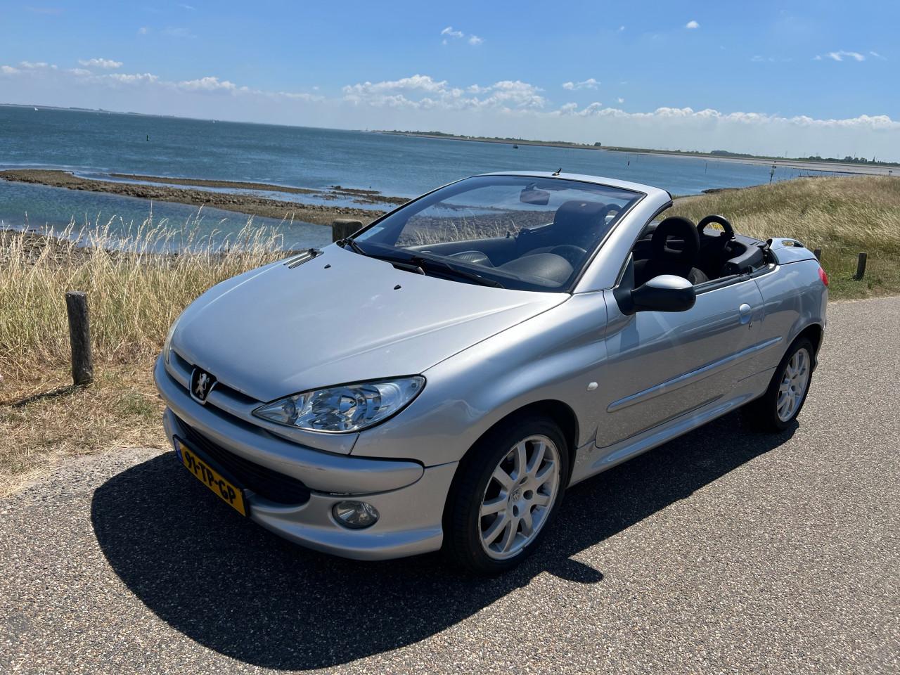 Peugeot 206CC Cabrio in metallic grijs