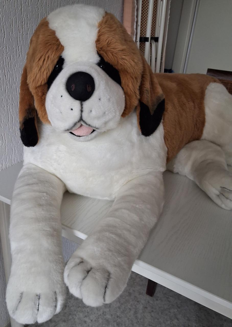 Zeldzame Sint Bernard Happy Bear knuffel XXL