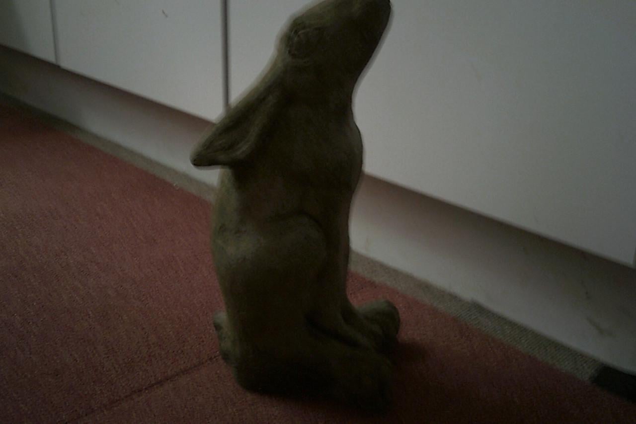 TUINBEELD - moongazing hare ...