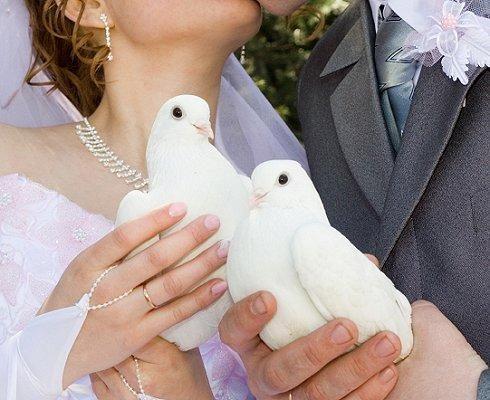 Witte duiven oplaten als symbool van liefde!