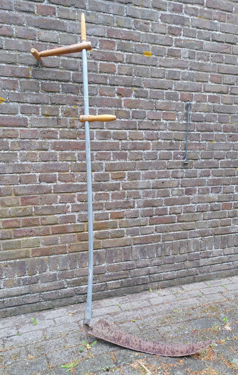 Zeis