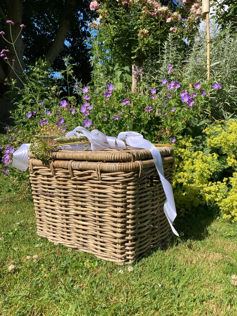 Witte duiven (bezorgen op locatie mogelijk)