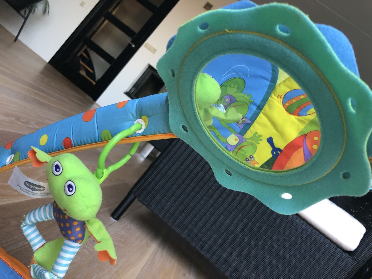 Baby gym Tiny Love
