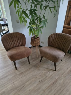 Schattige fauteuiltjes