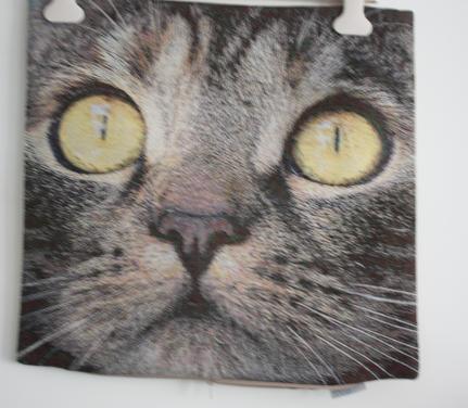 Nieuw katte kussen