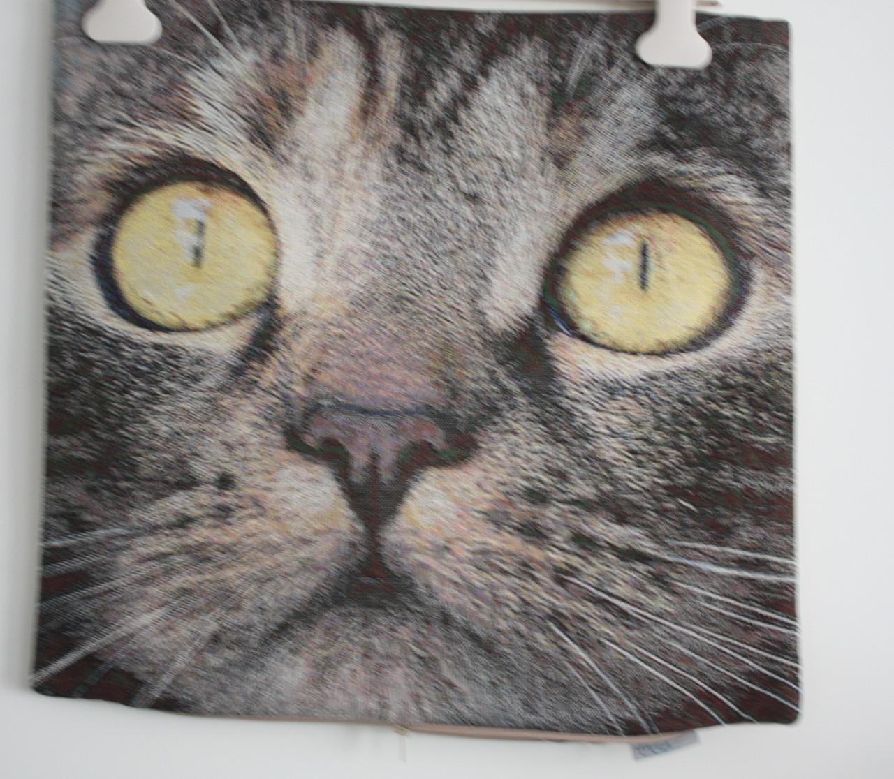 Nieuw katte kussen