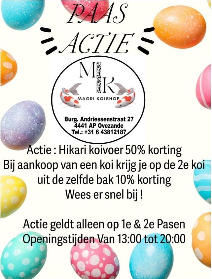 Maori Koi (Ovezande) Paasactie 2026!