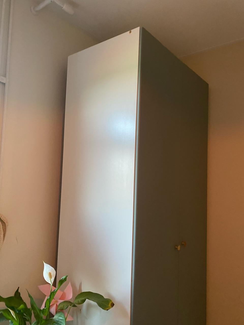 Ikea Pax kast met deuren Reinsvoll 100*58*236 cm