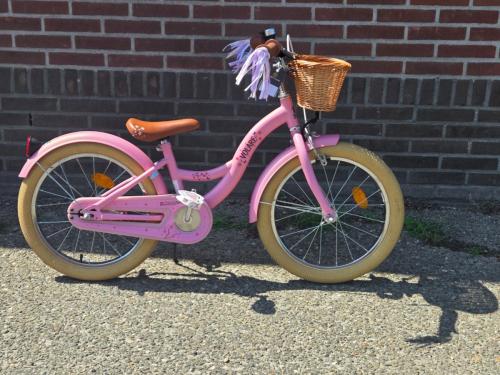 Volare blossom meisjes 20'' van 249 voor 95 euro inruil mogelijk