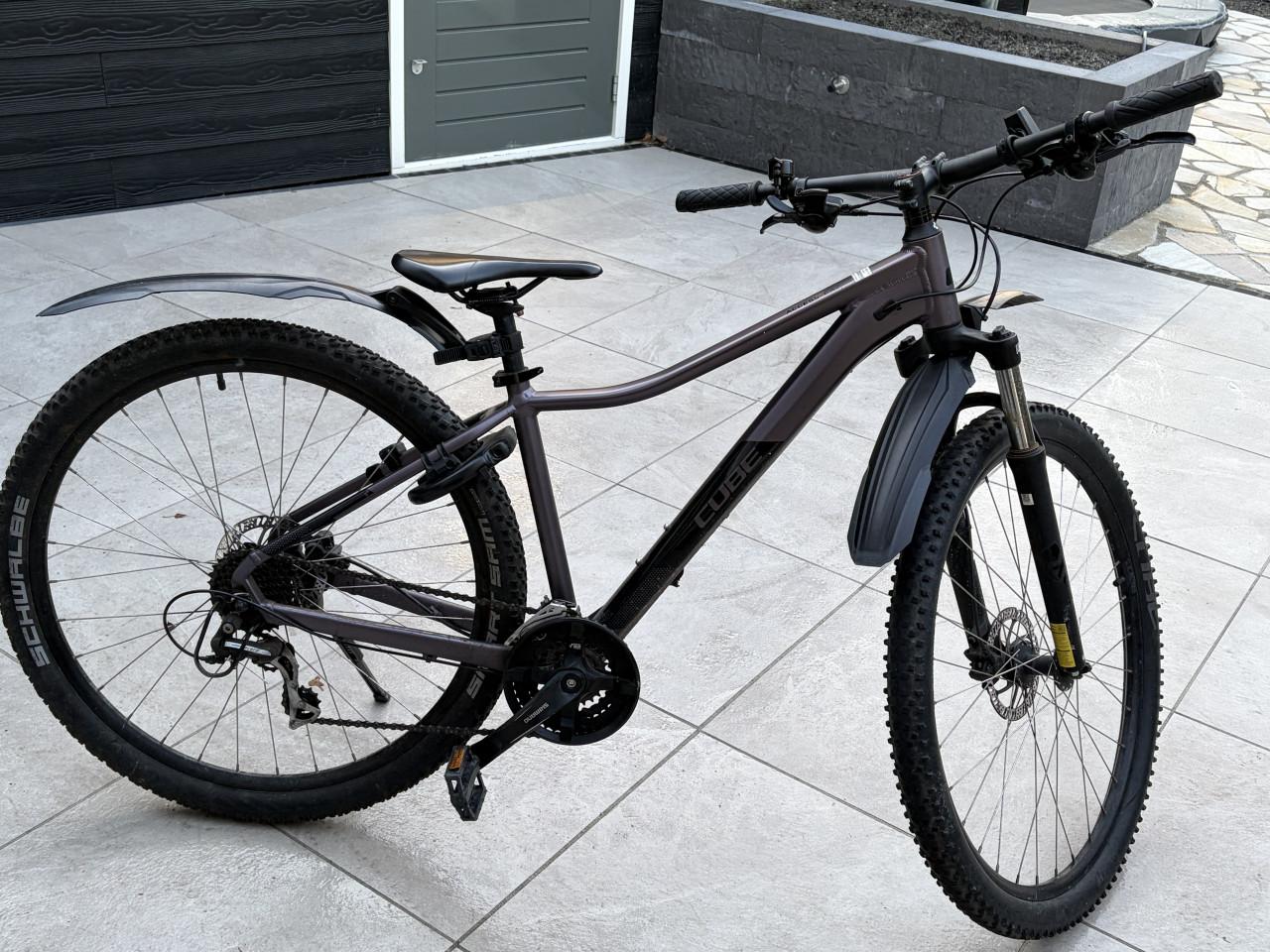 Mountainbike 29 inch