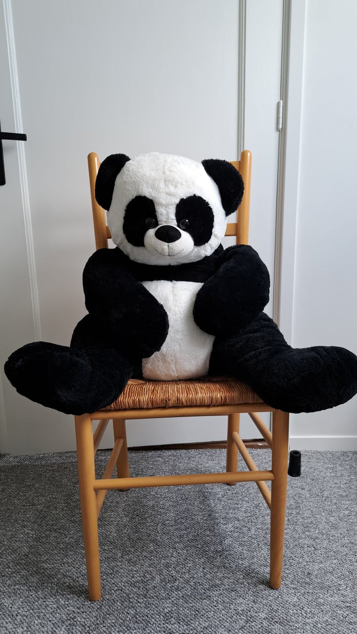 Panda knuffelbeer