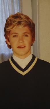 Nial Horan levensgrote karton stand