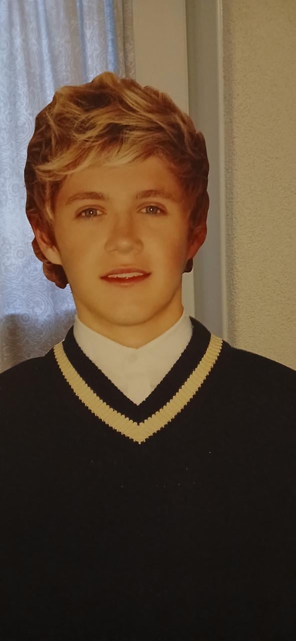 Niall Horan levensgrote karton stand