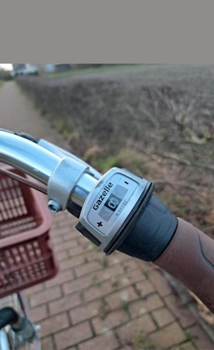 Gazelle Orange C7+ Damesfiets - Framemaat 53 8 versnellingen