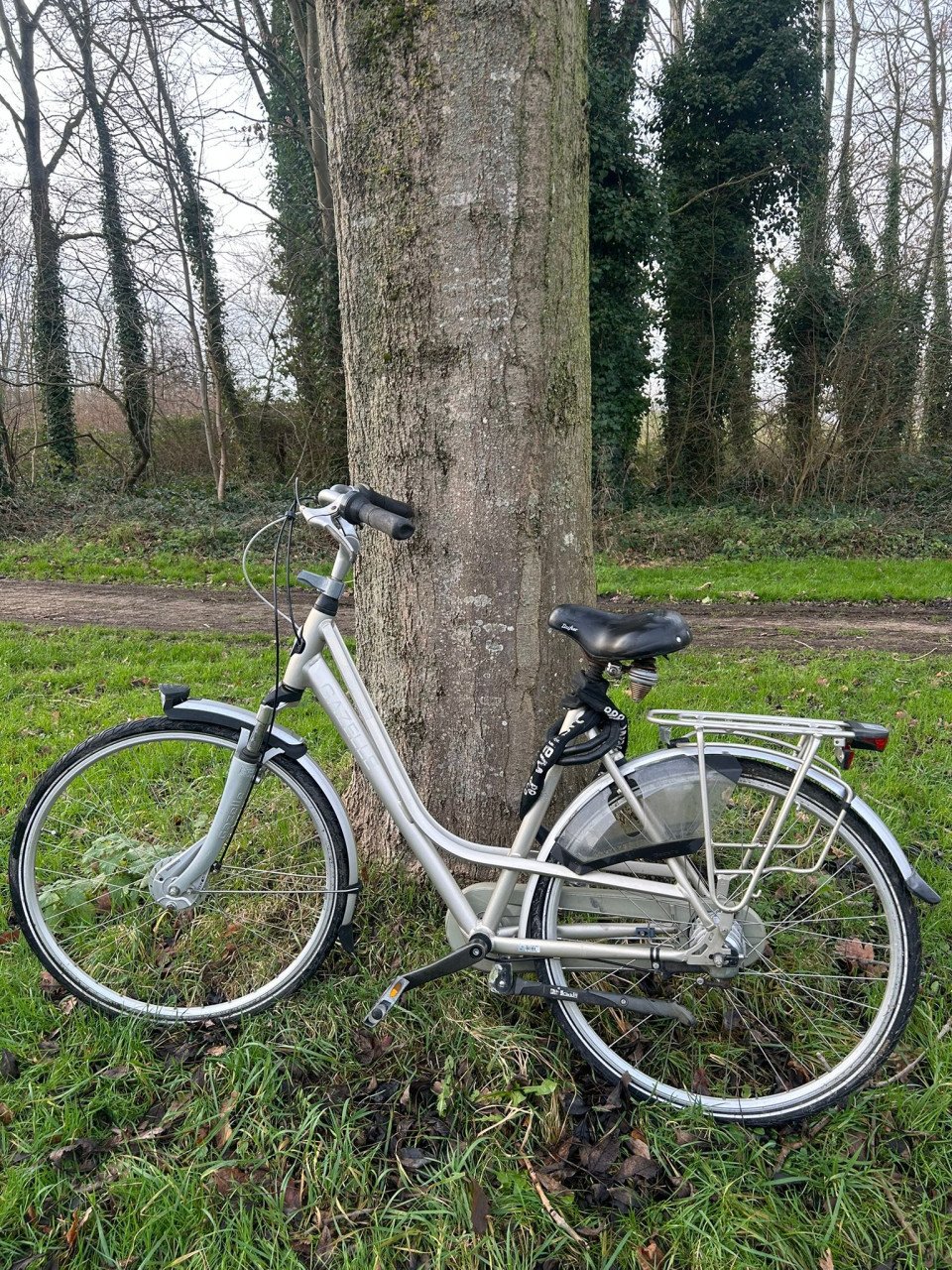 Gazelle dames fiets