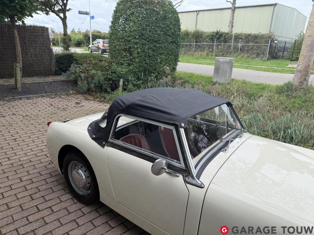 Austin Healey Onbekend sprite mk1 frogeye